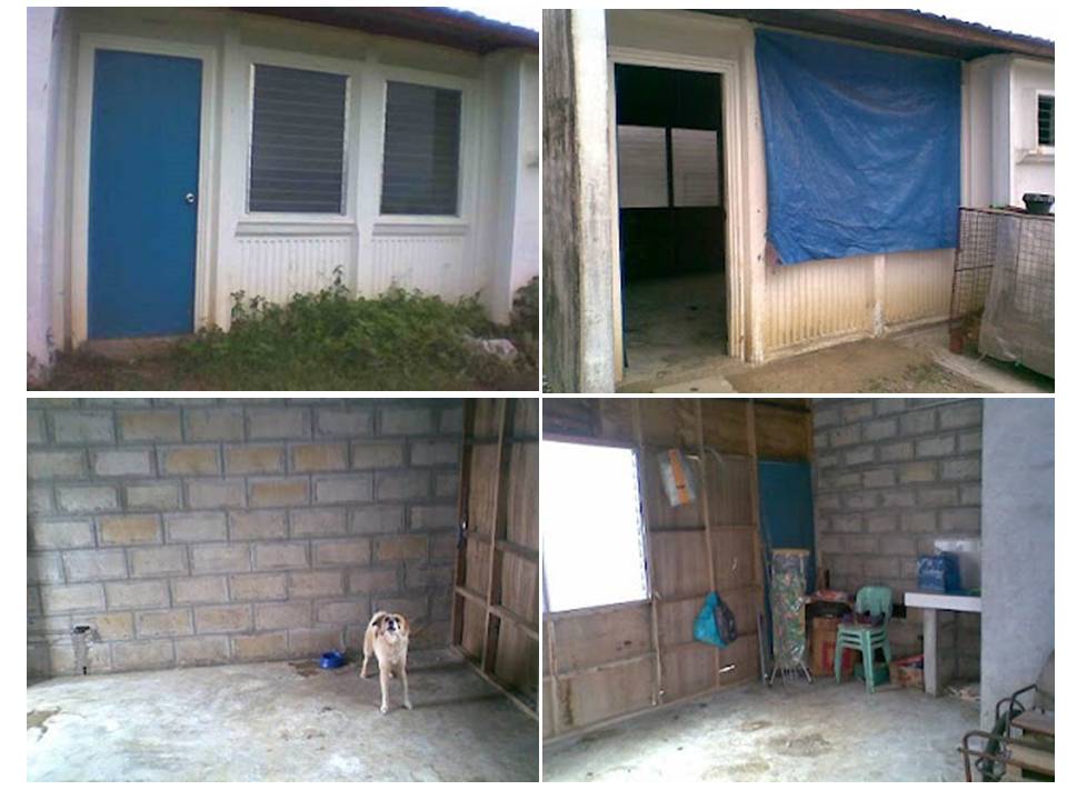 Building My Dream House: Building My Dream House