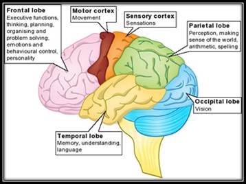 celia m living my high heeled life is there life after trauma brain injury