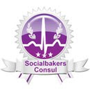 Socialbakers Consul