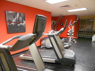 a group of treadmills in a gym