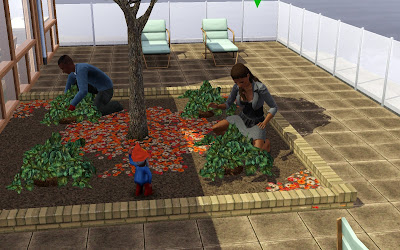 The sims игра - онлайн зе симс 3 также сможете.
