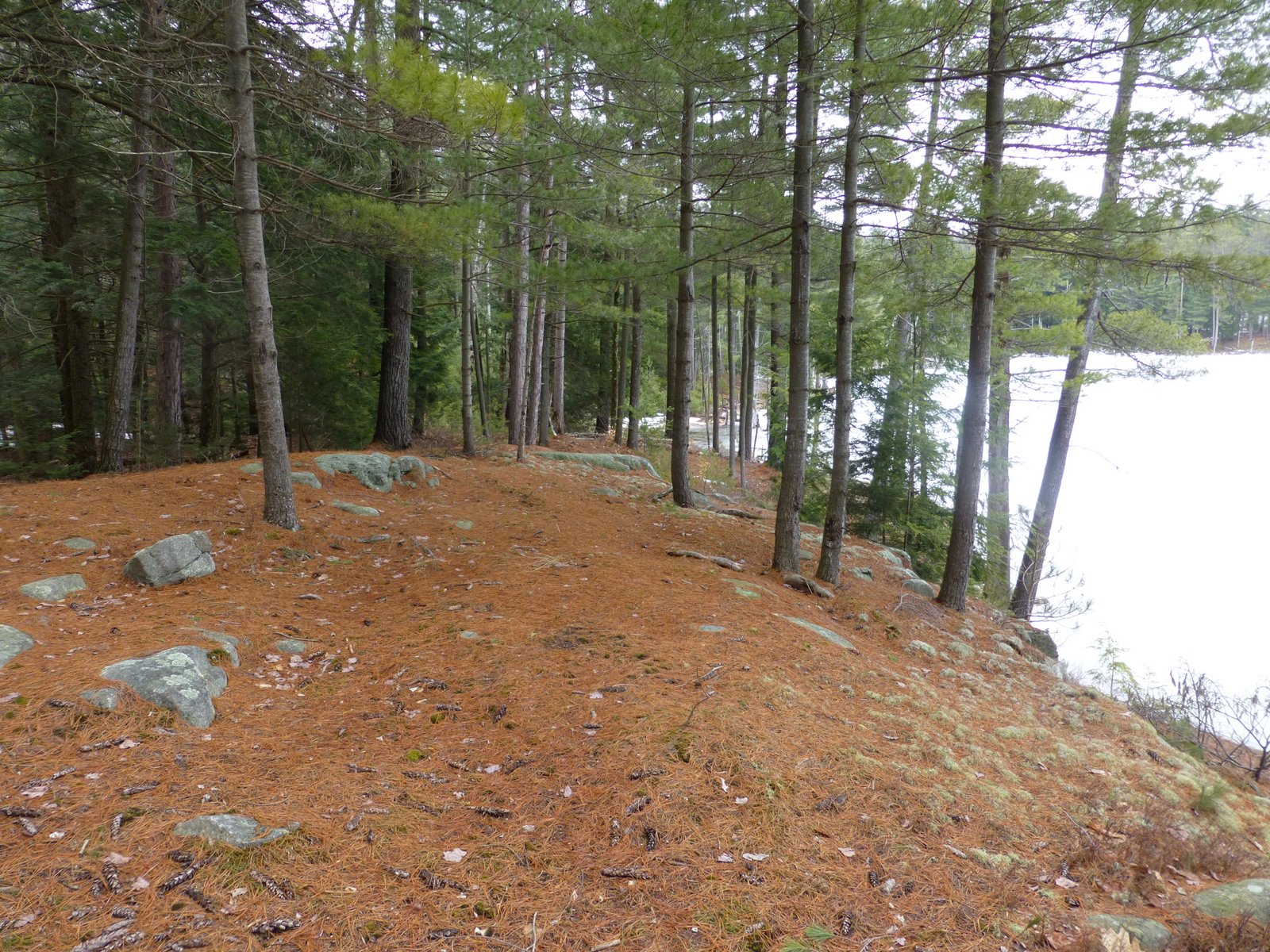 Off on Adventure Pole Hill Pond Lake Wild Forest 3/13/13