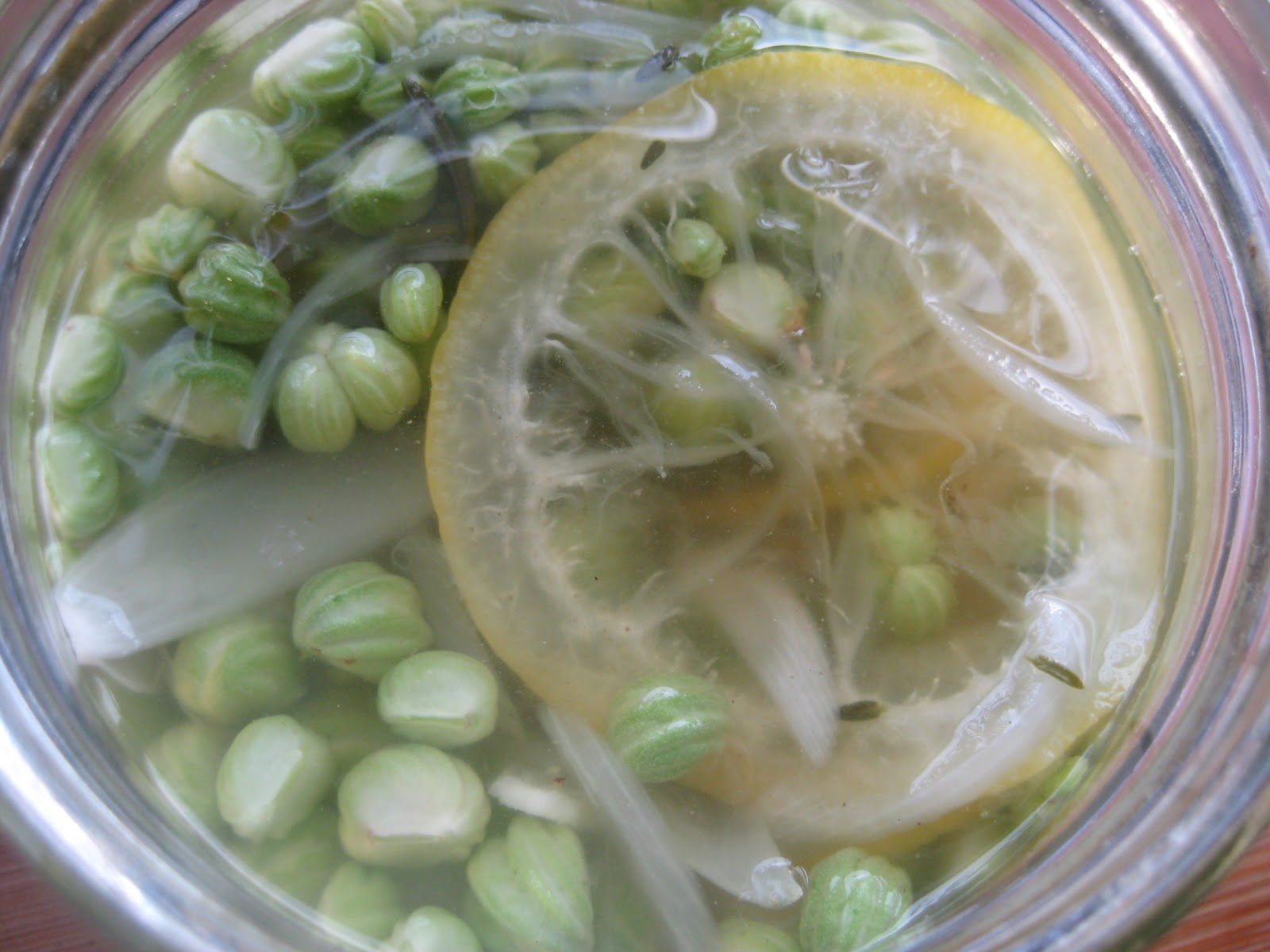 Flour Water Dirt & Rain Nasturtium Capers