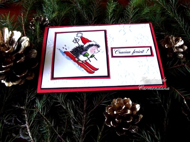 Felicitari handmade (realizate manual): Felicitare de craciun