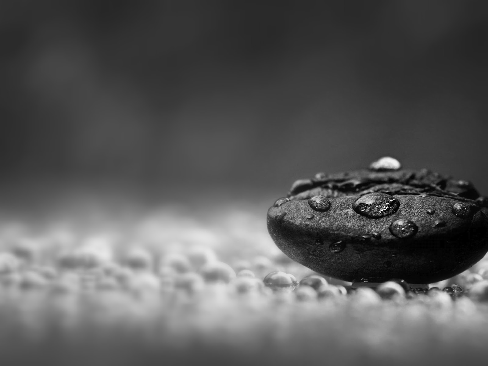 HIGH DEFINITION BLACK & WHITE WALLPAPERS Top Hd Wallpapersz