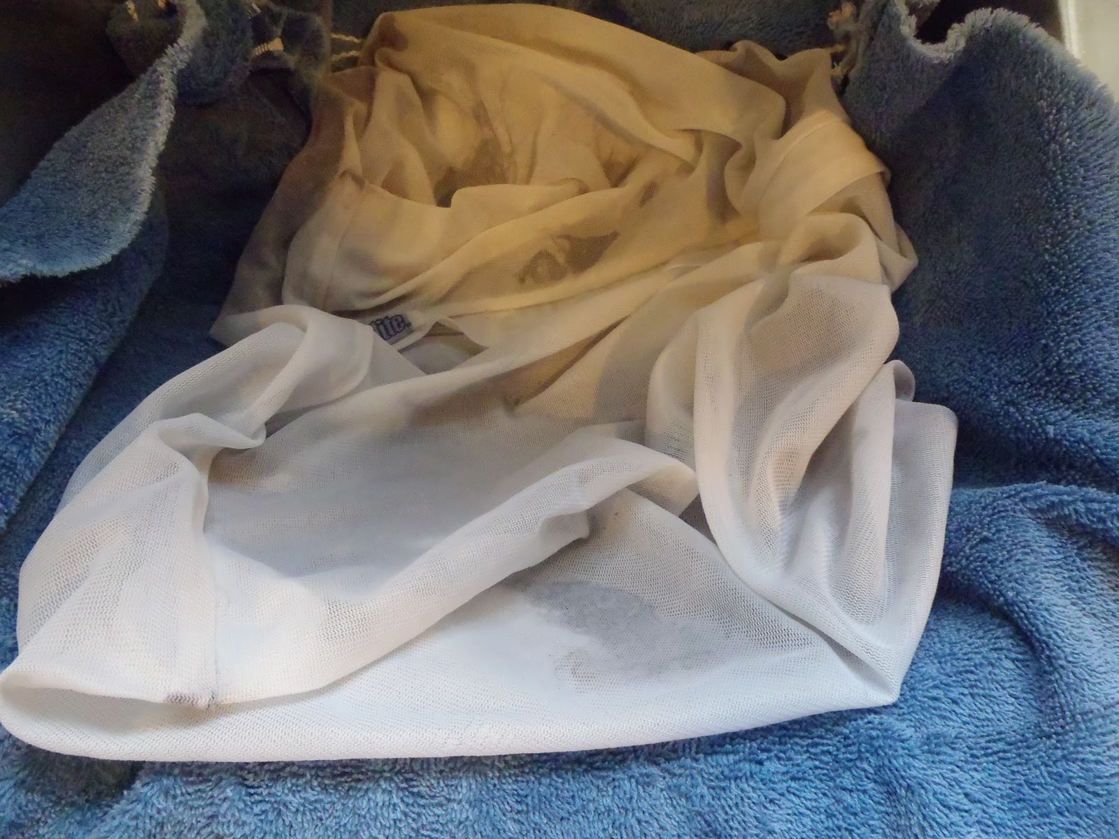 Becky's Blog lots of fun shtuff What to Do with Raw Alpaca Fleece