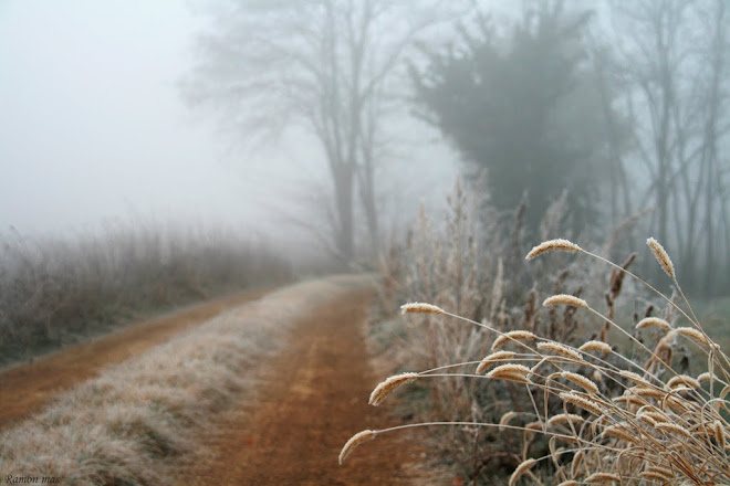 TEMPS D'HIVERN