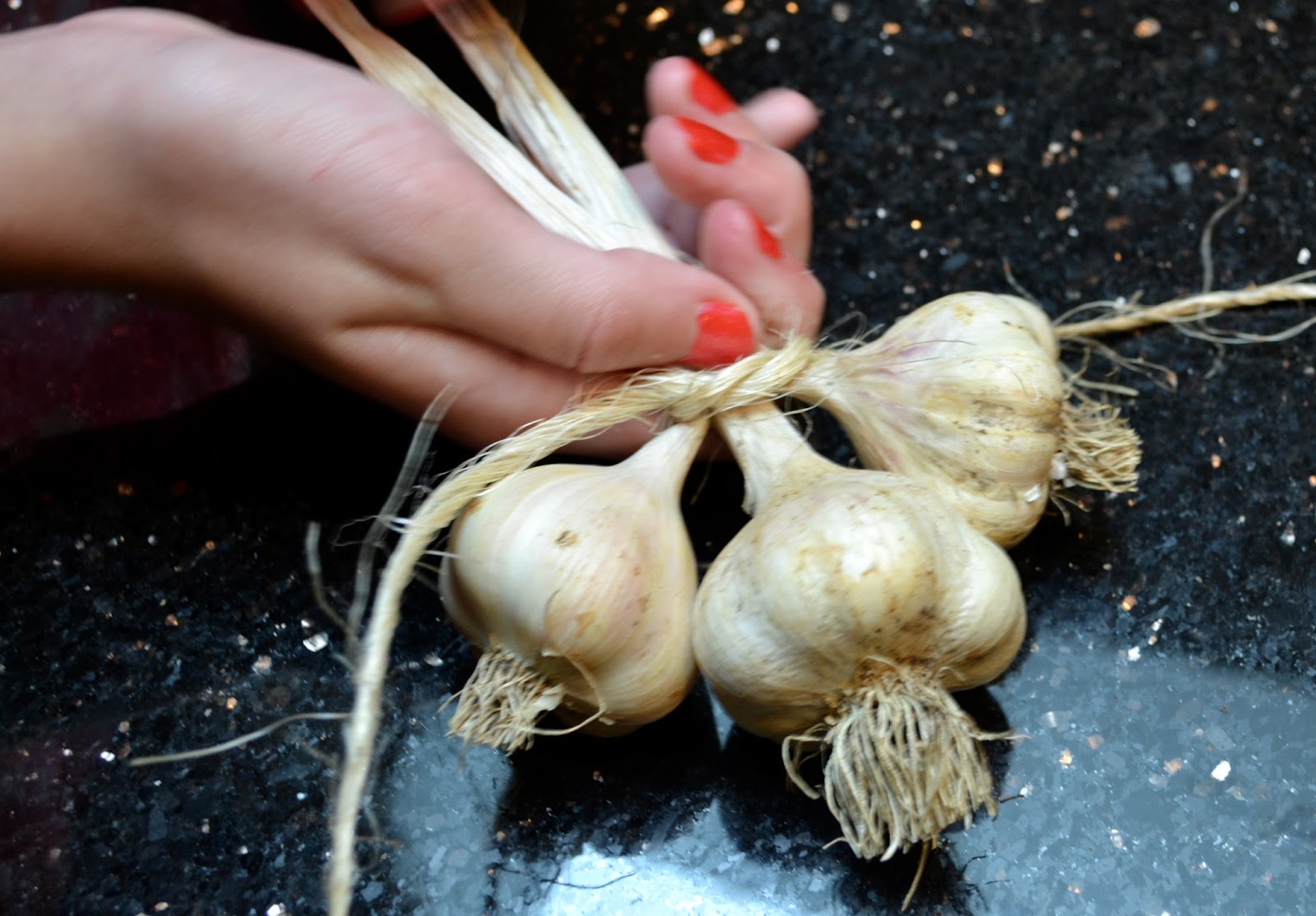 Growing Days Garlic A Stylish Display to Ward Off Vampires.
