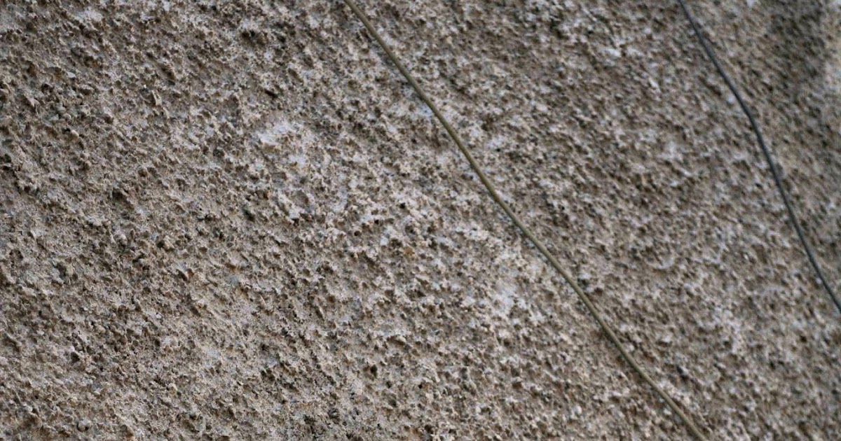 Travelling Vegan: Road Trippin