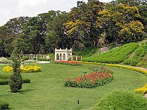 Deliver Flowers In India | Deliver Flowers To India: Beautiful Flowers