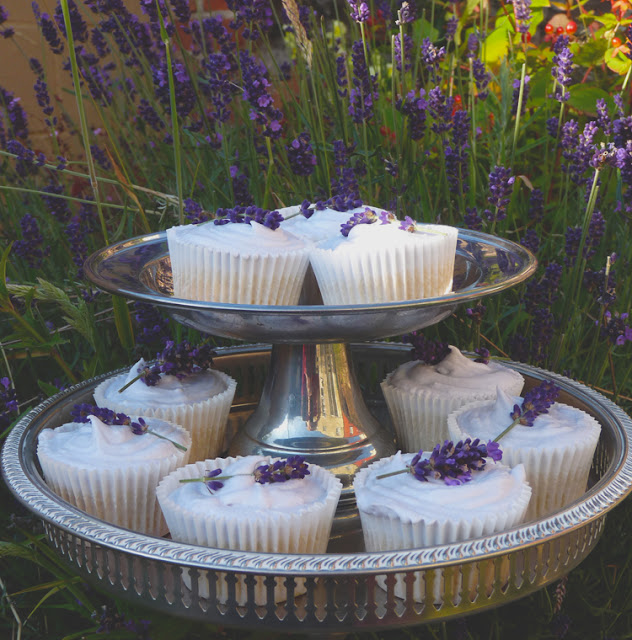 Sweet Tooth Guest Desserts Lavender Cupcake Recipe
