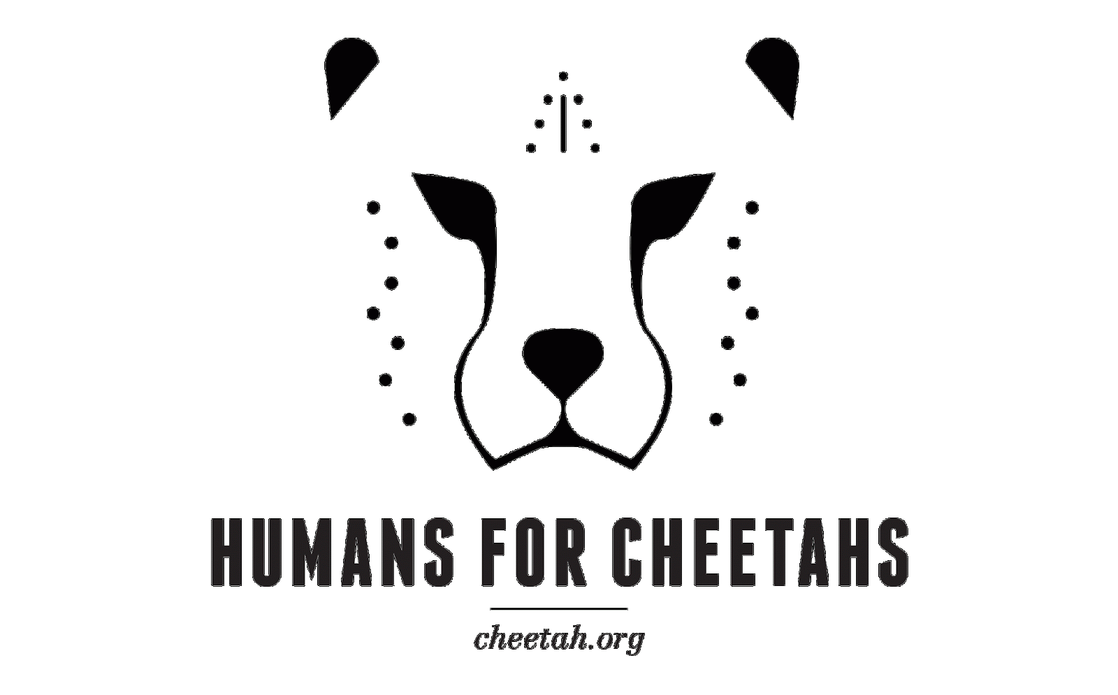 Cheetah News: HUMANS FOR CHEETAHS