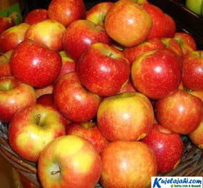 Buah yang Baik Untuk Penolak Penyakit Flu - Kujelajahi.com Buah yang Baik Untuk Penolak Penyakit Flu - Kujelajahi.com
