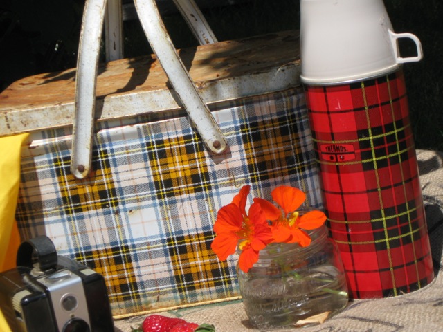 raggygirlvintage: ~backyard picnic~