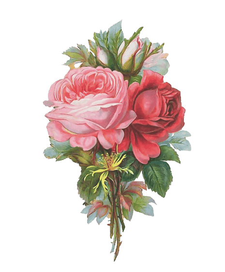 ZOOM DISEÑO Y FOTOGRAFIA: 30 rosas vintage para scrap, rose png