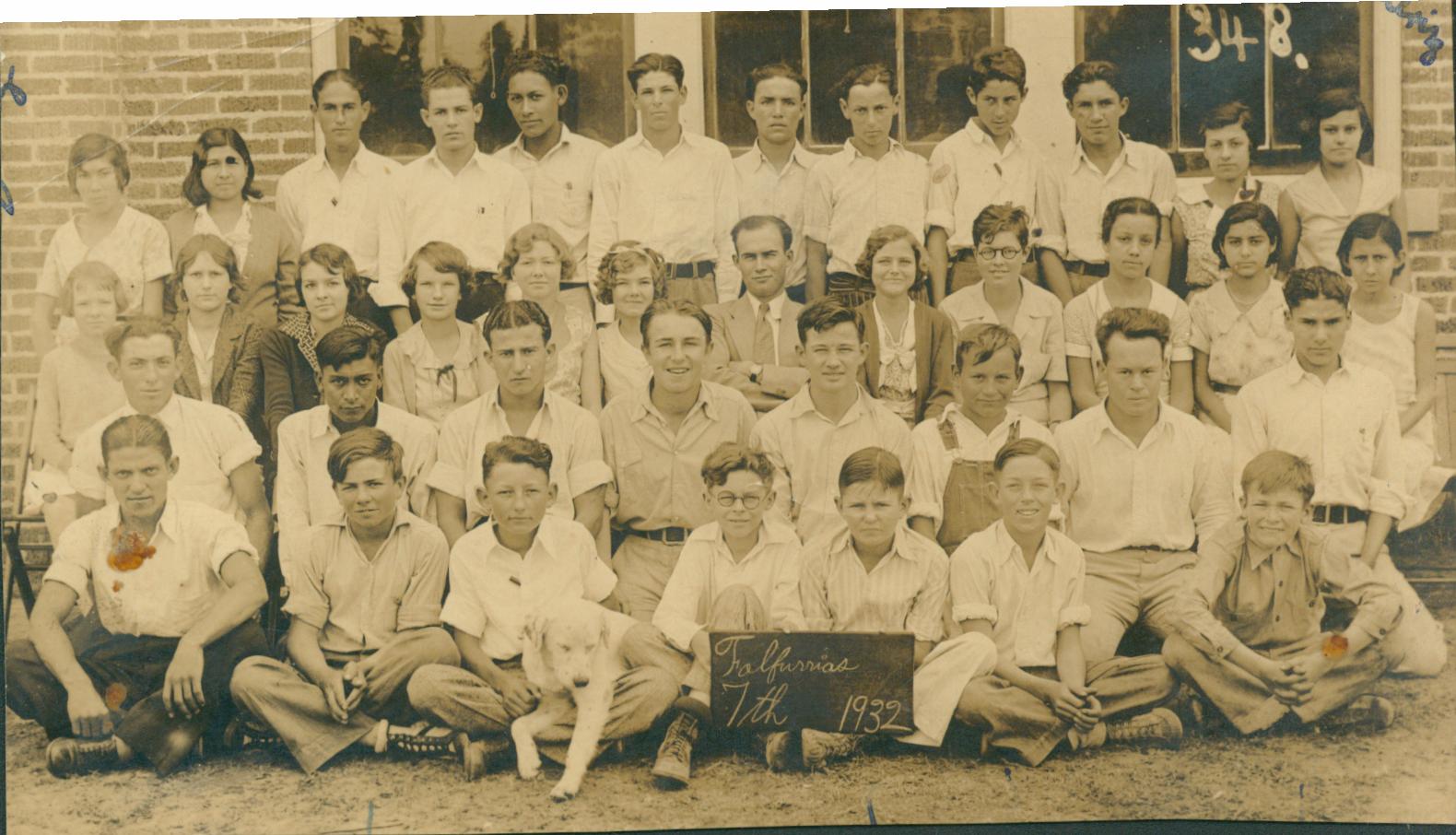 FourDogMom School Days