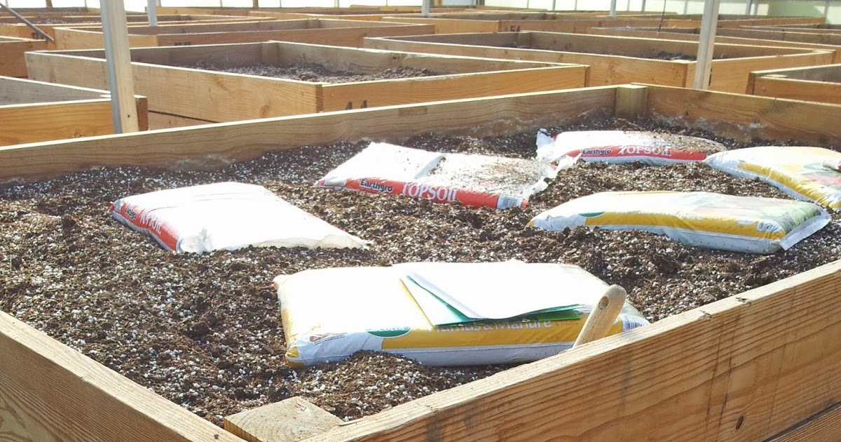 Sage Advice Nursery: Indoor Community Garden Begins Again