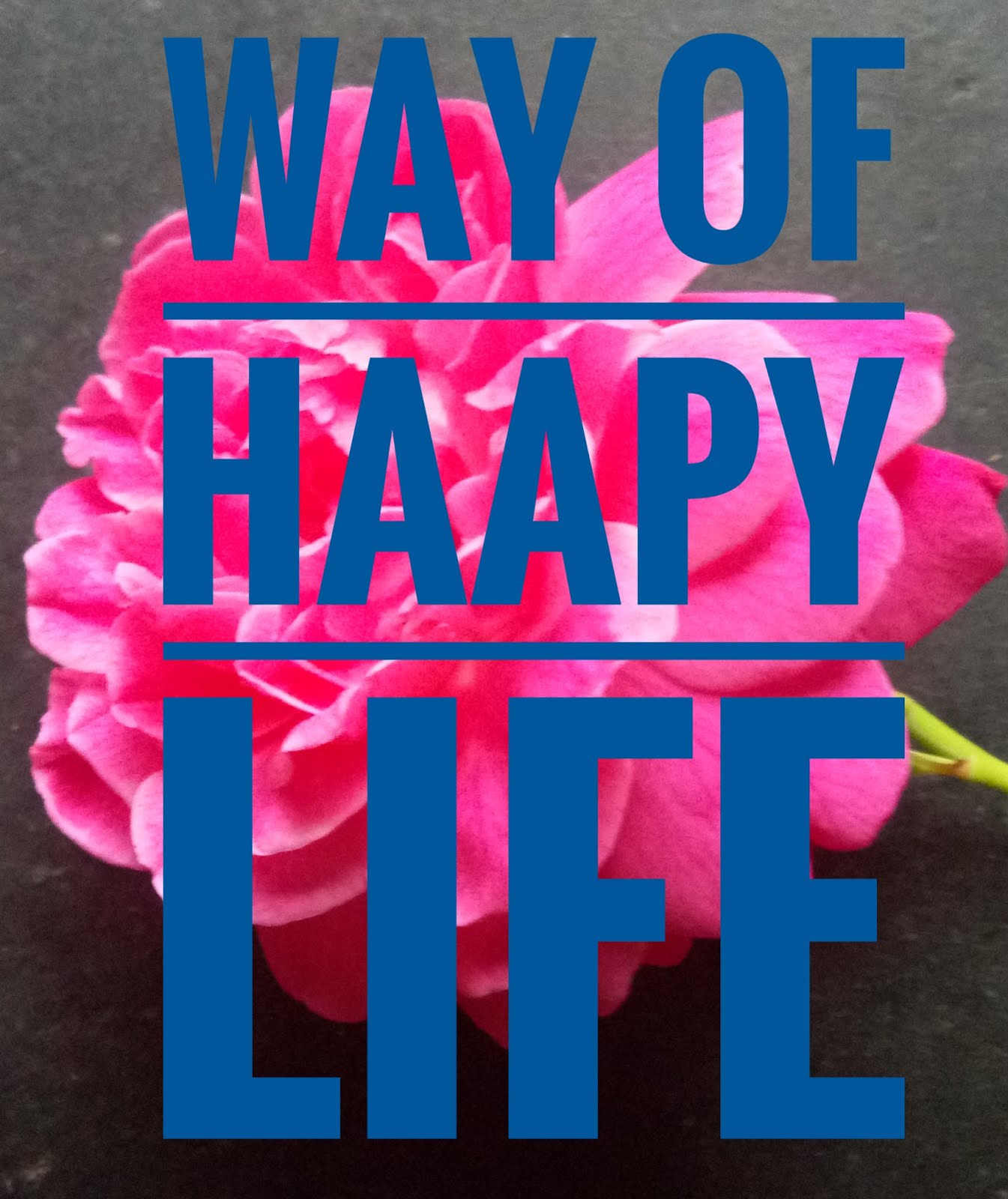 WAY OF HAPPY LIFE