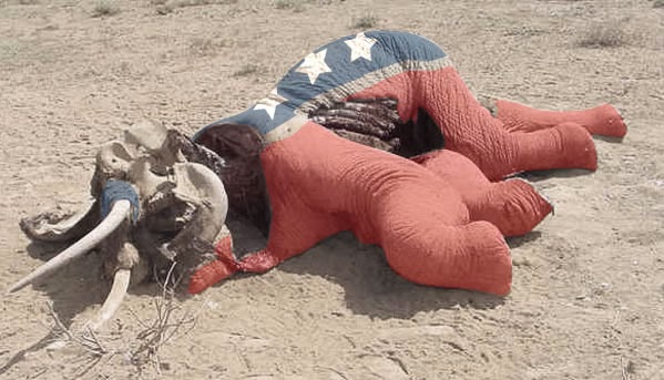 essay on shooting an elephant