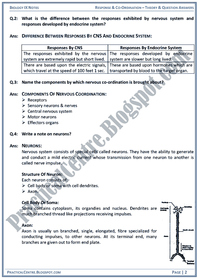 response-and-co-ordination-theory-and-question-answers-biology-ix