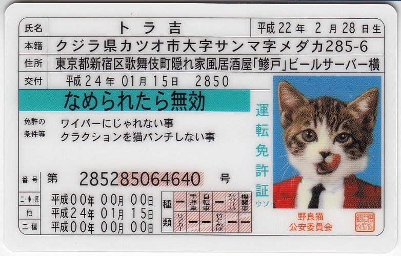 Cat Card Id