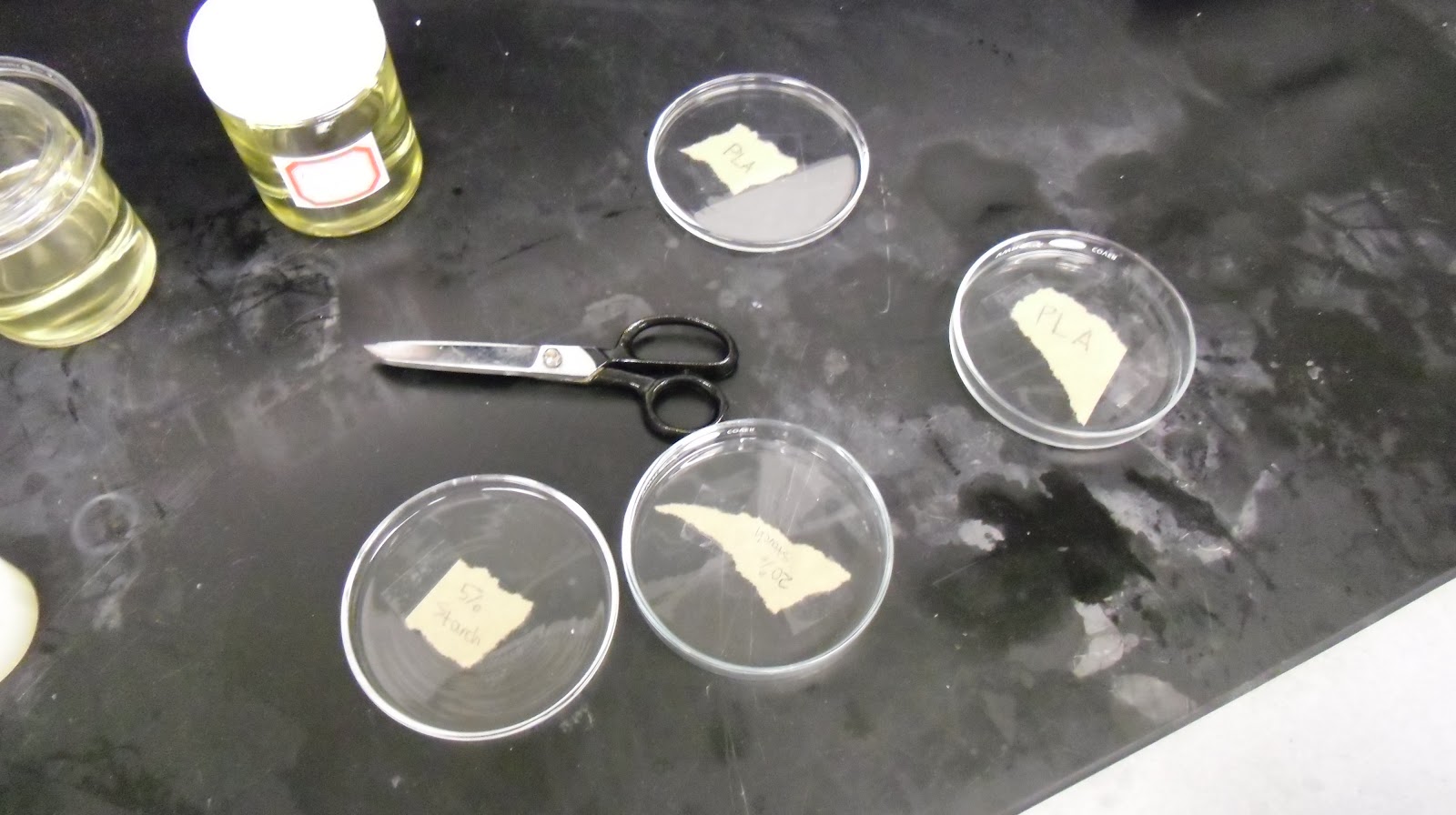 Group 00902 StarchBased Polymers for Plastic Bags Week Four Starch