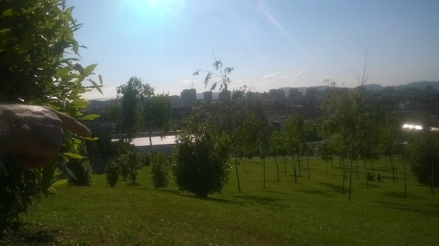 pic nic gijón