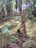 Cup Trench on South Fork Complex