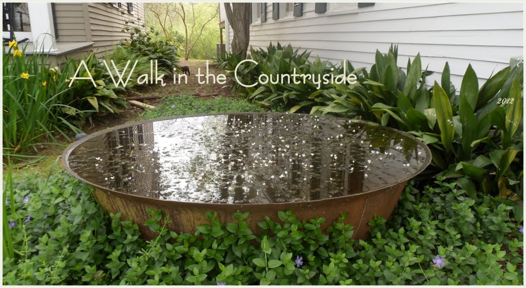 A Walk in the Countryside Vintage Sugar Kettles