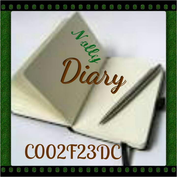 Nollywood Diary