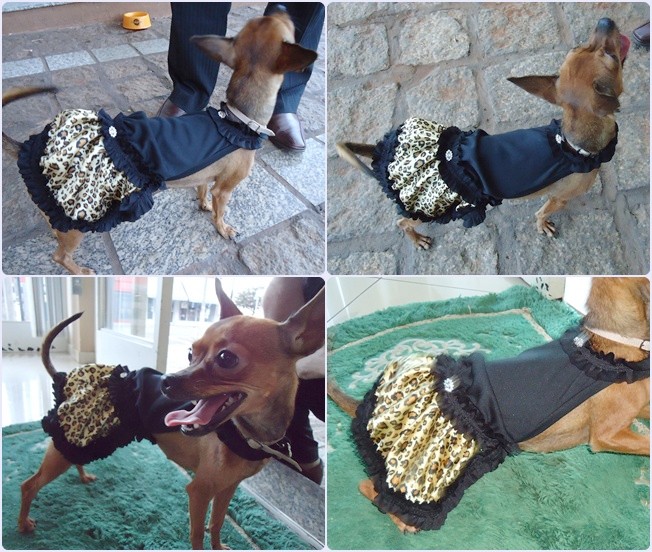 http://2.bp.blogspot.com/-mBDgRPO6tm0/T1UONSOBjII/AAAAAAAAGlY/bcQTWVrJiNg/s1600/vestido%2Boncinha%2Btogdog.jpg