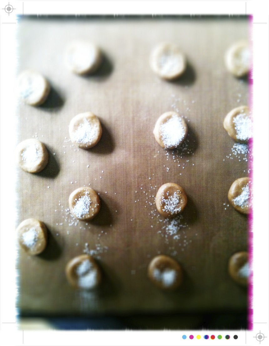 Toast Happy Travels, Lemon Mousse and Ginger Snaps