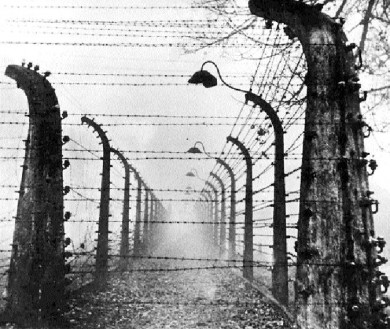 Chimney "Holocausto" Alambradaas+campo+de+concentracion+nazi