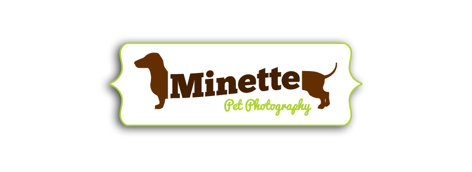 Minette Pet Photography