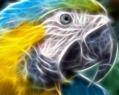 cool wallpapers 3d moving