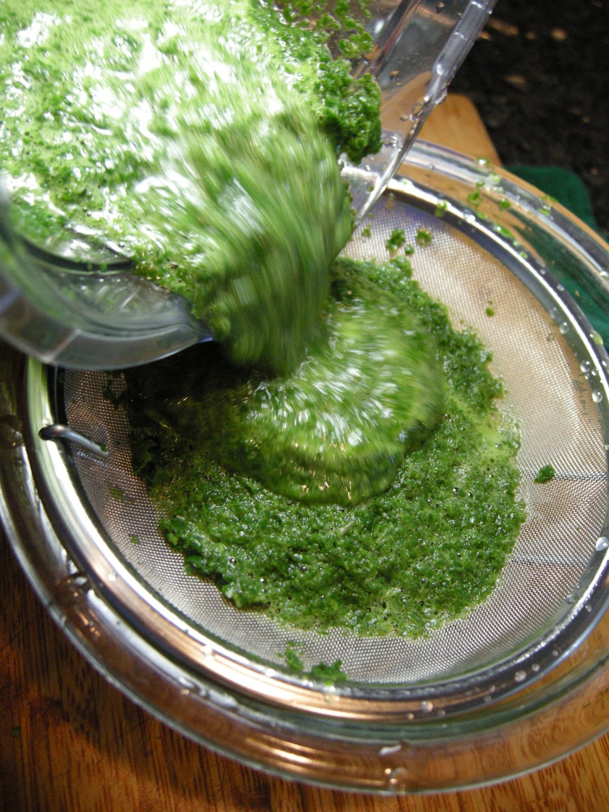 Kitchens Are Monkey Business Rosie Makes A Basil Espuma.