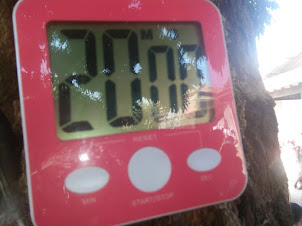 "Cockfighting" in Vang Vieng. The "STOPWATCH TIMER" indicating 20 Minutes.'