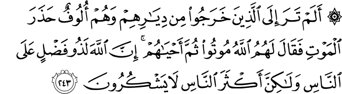 alam tara kaifa surah transliteration in english alam tara kaifa surah transliteration in english