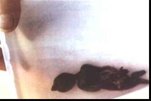 Một số chuyện sưu tầm Tâm Linh - 12