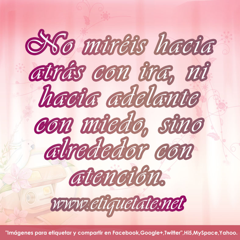 Imagen con frase de fortaleza | Imagenes con frases