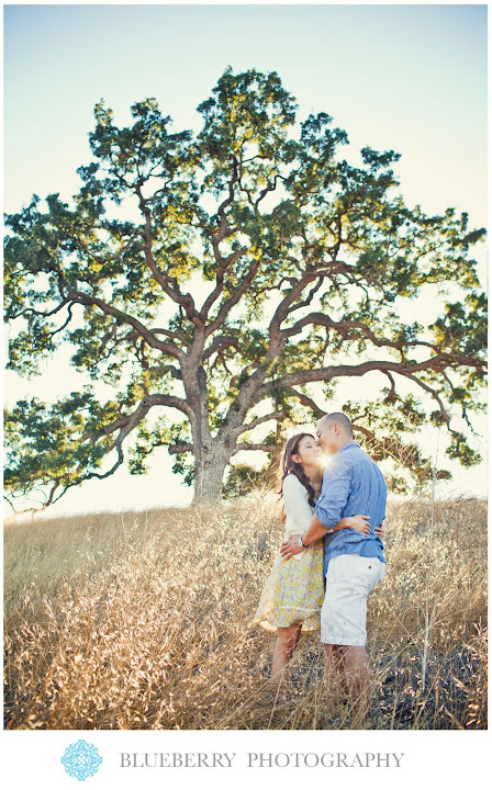 Los angeles malibu beautiful engagement photography session