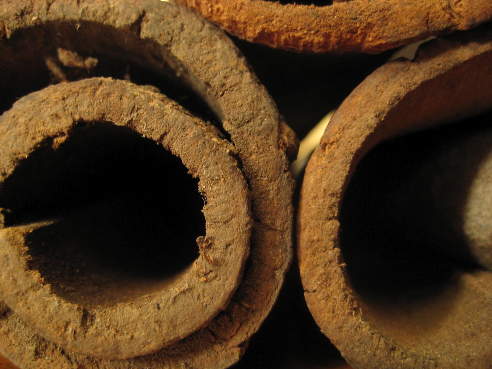 Find of the Day Giant Cinnamon Sticks Hella Delicious Food