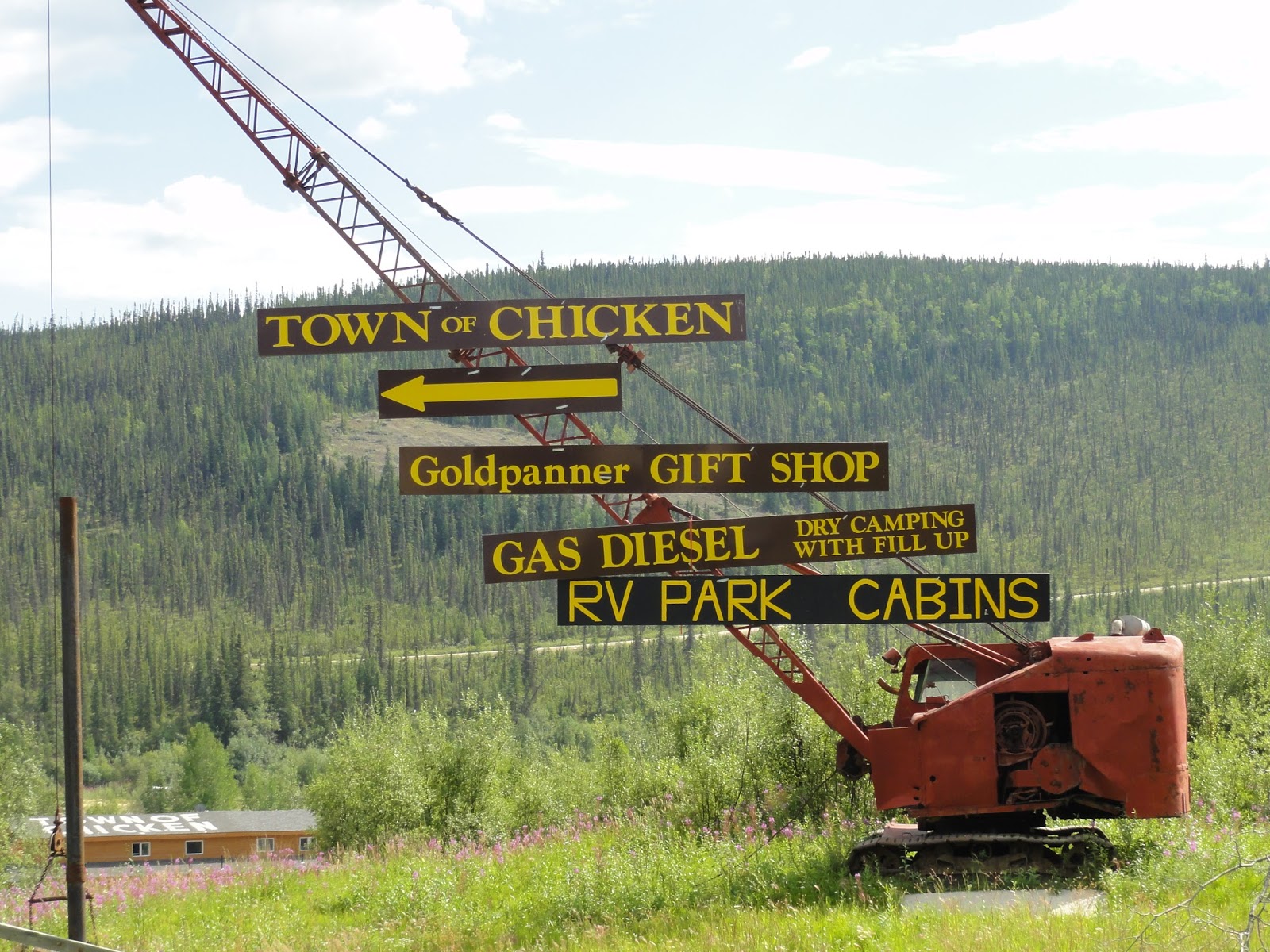 Strolling Up the Canyon Chicken, Alaska