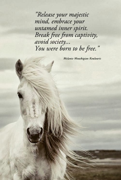 quotes to be free rome fontanacountryinn com quotes to be free