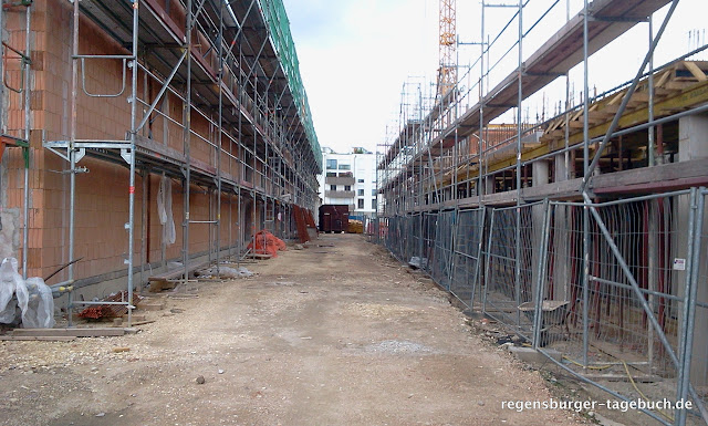 Holly Zimmermann Sportliche Ziele Setzen