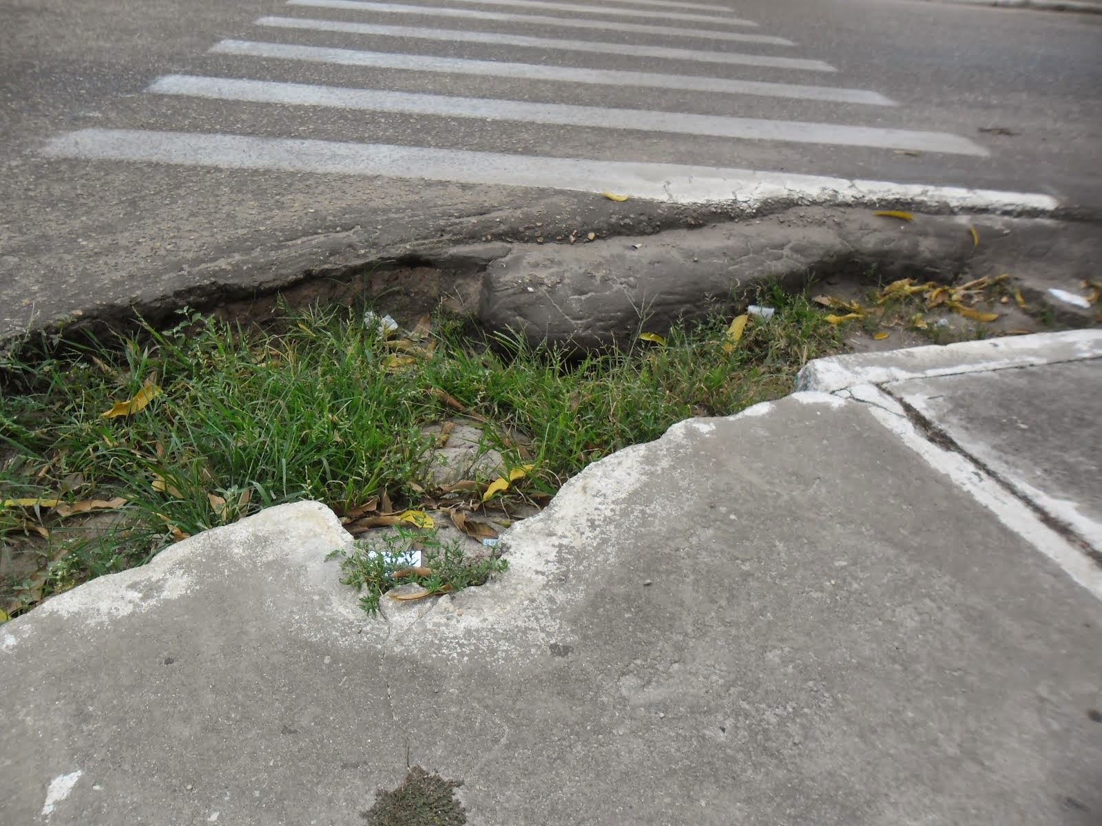 VIA PUBLICA COM FAIXA DE PEDESTRE EM MACAPÁ