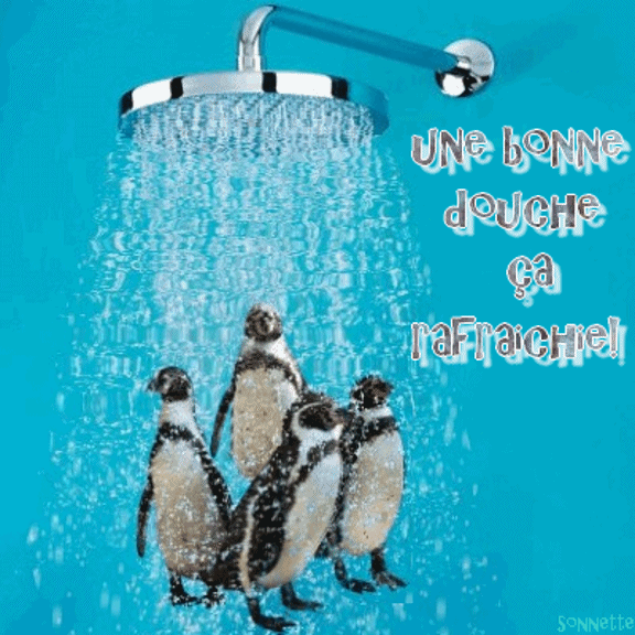 ChrisLife&Co Je me les gèle...