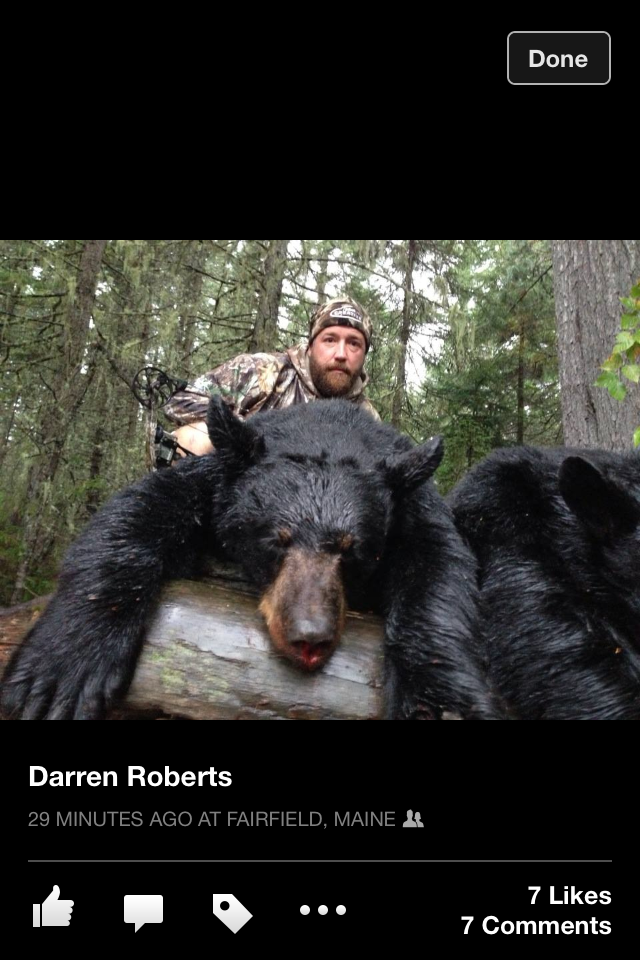 Feeding Ger Sasser Canadian Black Bear Roast