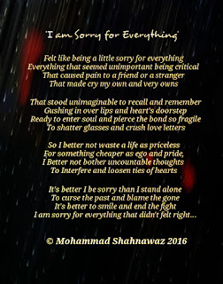 Sorry for everything poem