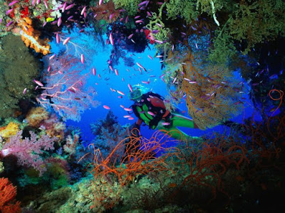 Thailand divers